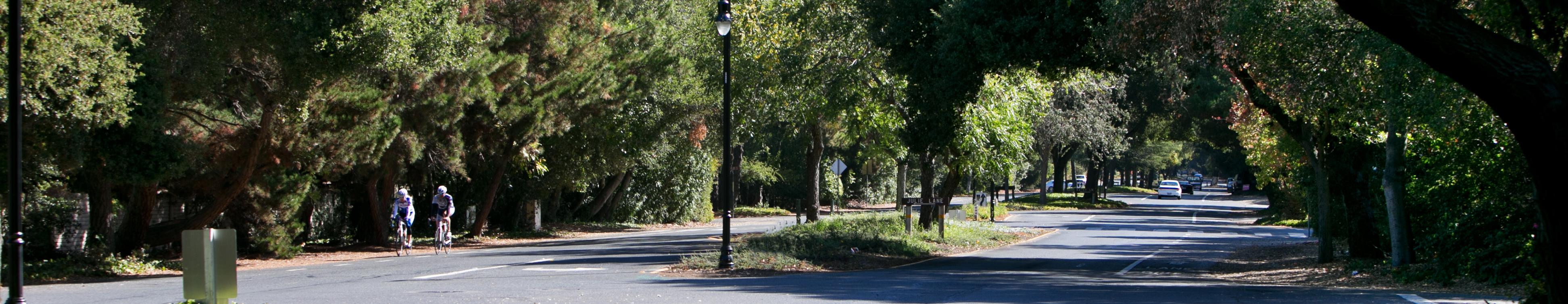 Public Works Banner