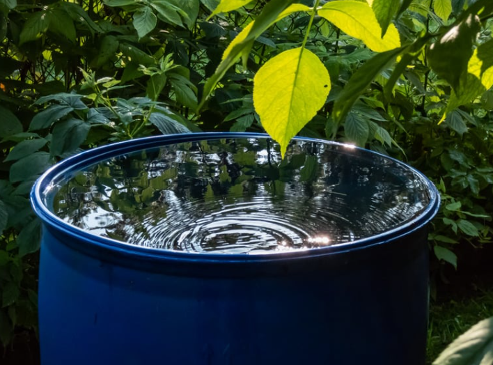 Rainwater Harvesting